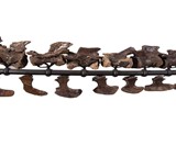 Real Partial T-Rex Skeleton