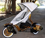 The Roddler - Hot Rod Baby Strollers