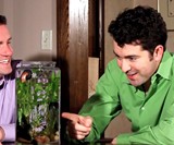 NoClean Desktop Aquarium