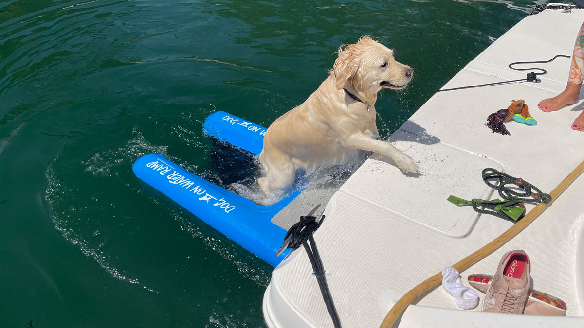 Dog on Water Ramp for Boats, Docks & Pools Dog on Water Ramp for Boats, Docks & Pools