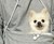 Mewgaroo Pet Pocket Hoodie Mewgaroo Pet Pocket Hoodie
