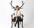 Antler Chair Antler Chair