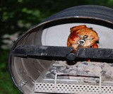 The Rotisserie Barrel