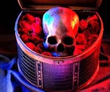 Human Skull Chocolate in Box