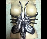 Chesthugger Piece Removed from Corset
