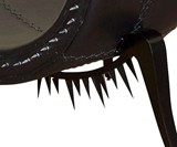 Backstabber Occasional Chair