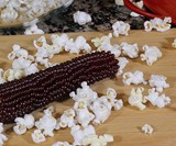 Amish Country Microwave Popcorn on the Cob