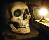 The Skull Chair