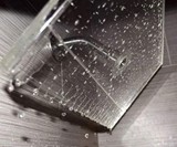 Clear Shower XL Transparent Shower Head
