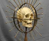 Craniometer