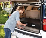 SnapSafe Under Bed & Trunk Safe