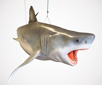 Life Size Hanging Shark Sculpture Life Size Hanging Shark Sculpture