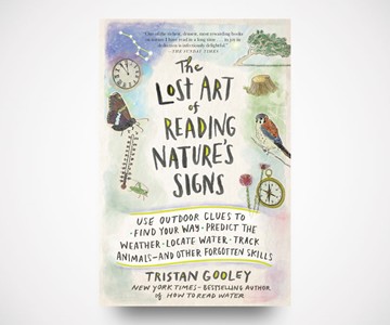 The Lost Art of Reading Nature's Signs The Lost Art of Reading Nature's Signs