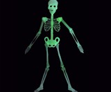 Glow-in-the-Dark Climbing Skeleton Props