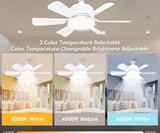 Socket Fanlight