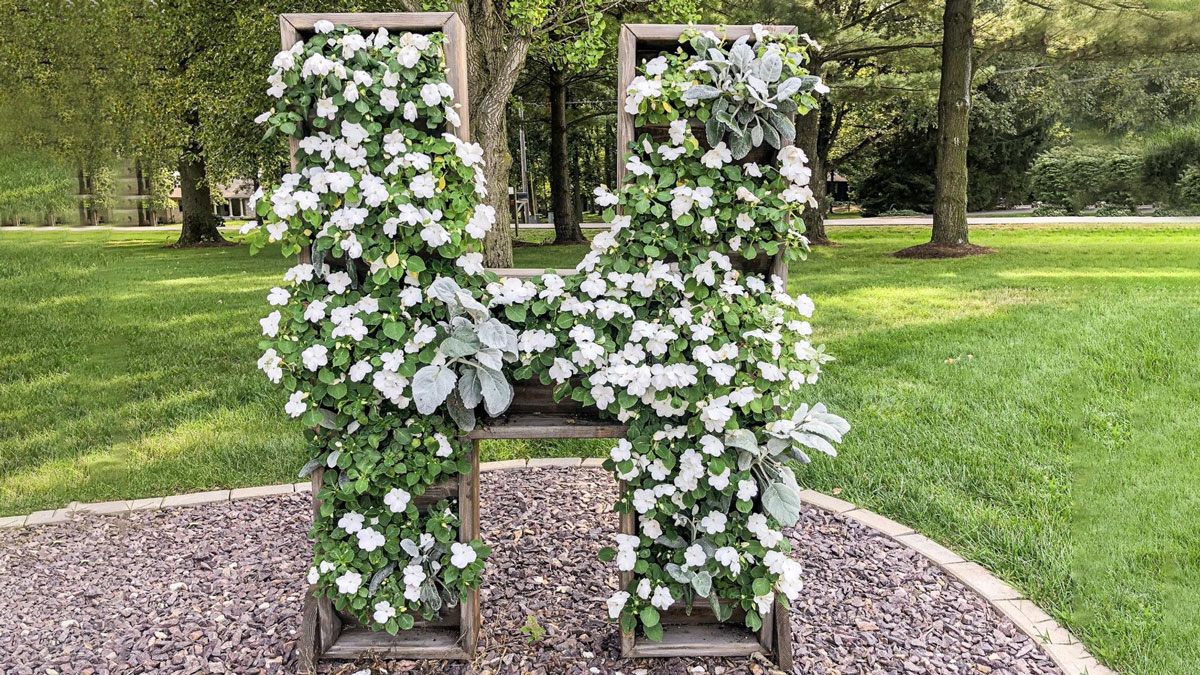 Giant Custom Cedar Letter Planter Giant Custom Cedar Letter Planter