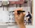 Street Art Walls Notebook