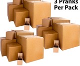 Boxes in a Box Prank Gift