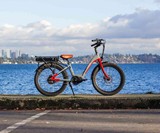 EVELO Electric Bicycles