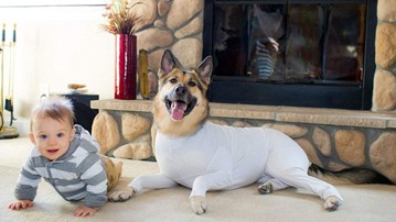 Shed Defender Dog Onesie
