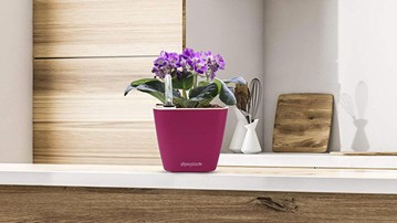 Aquaphoric Self-Watering Planter