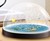 Flat Earth Snow "Globe" Flat Earth Snow "Globe"