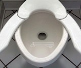 One Size Fits All Toilet Seat