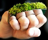Grass Knuckles - Living Jewelry