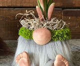 Gnome Planter