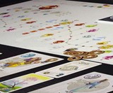 Tokaido Board Game