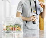 Stay-Fresh Countertop Vegetable Storage House