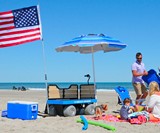 e-Beach Wagon - Electric Multi-Terrain Wagon