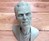 Christopher Walken Taxidermy Christopher Walken Taxidermy
