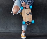 Eggboards Mini Longboard Cruiser Skateboard