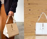 Hedgehog Carry House