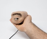 Eyecam Anthropomorphic Webcam