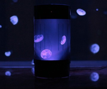 Pet Jellyfish Aquarium Pet Jellyfish Aquarium