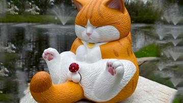 Crotch Staring Cat with Swappable Crotch Parts Crotch Staring Cat with Swappable Crotch Parts