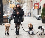Walkee Paws Waterproof Dog Leggings