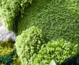 Green Forest Moss Rug