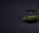 Globe Terrarium Lamps