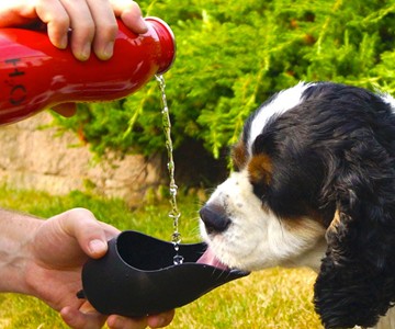 H2O4K9 Dog Water Bottle & Travel Bowl H2O4K9 Dog Water Bottle & Travel Bowl