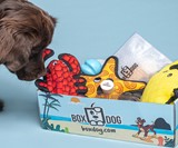 BoxDog Custom Dog Subscription Boxes