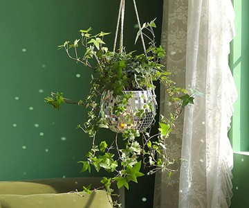 Hanging Disco Ball Planter