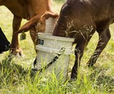 YETI Loadout Fishing & Utility Bucket