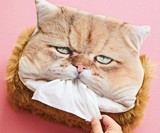 Kleenex-Munching Cat Tissue Box Cover