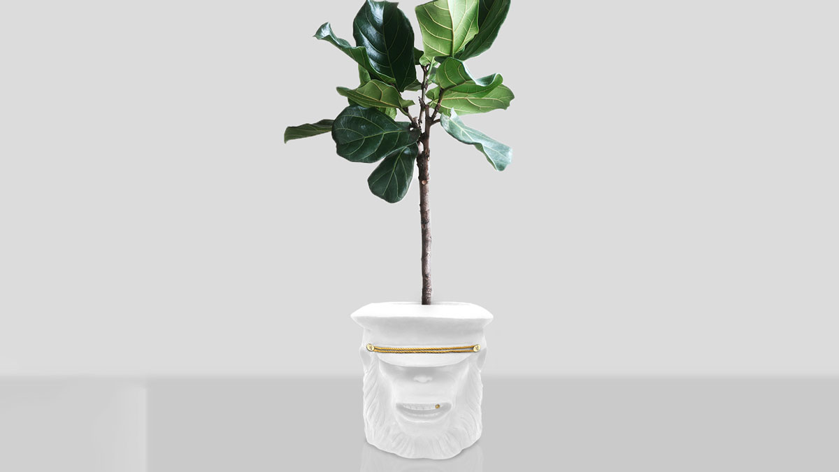 Monkey Planters Monkey Planters
