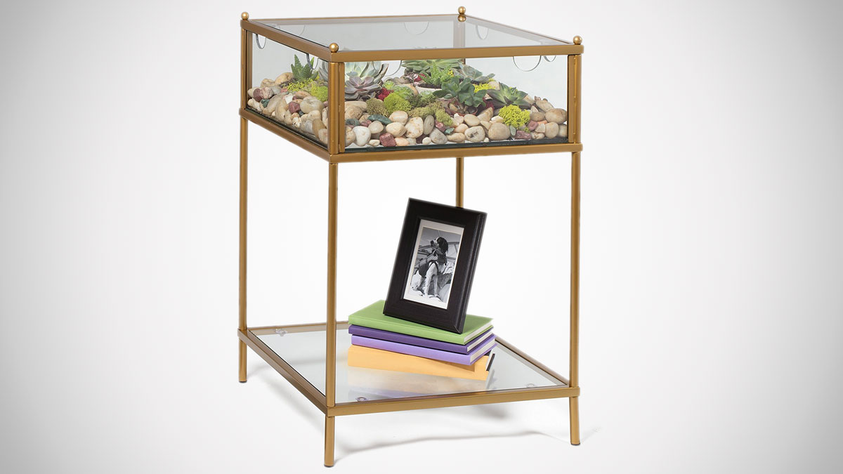 Terrarium Display End Table