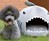Shark Puppy Bed Shark Puppy Bed