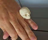 Skull Ring